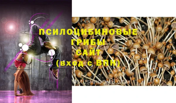 МДПВ Верхнеуральск