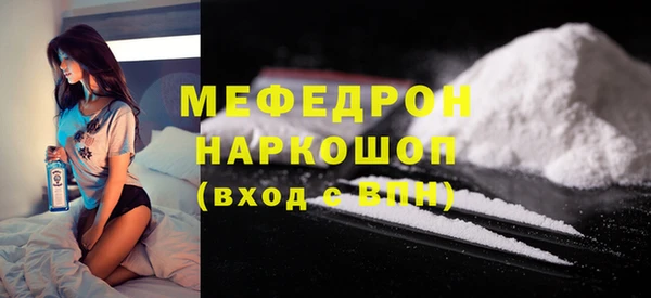 spice Богородицк