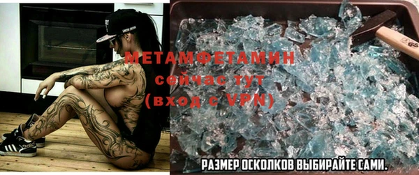 ПСИЛОЦИБИНОВЫЕ ГРИБЫ Богданович
