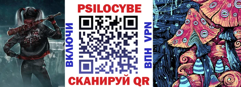 где можно купить наркотик  Ивантеевка  Галлюциногенные грибы Cubensis 